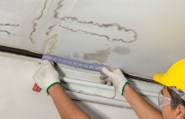 Reliable Basement Water Removal contractor in Pigeon, MI by Water Damage Irwin